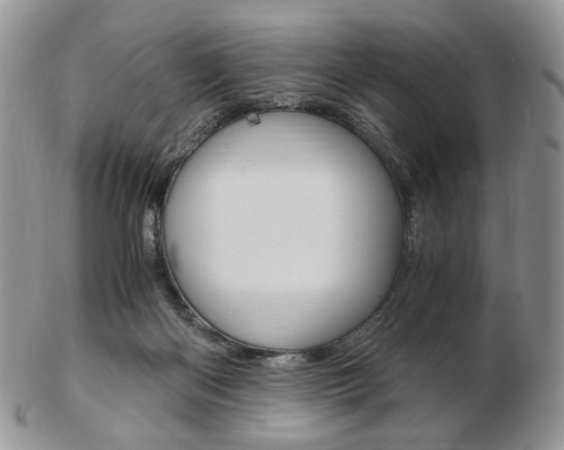 X0000103130122200808221050