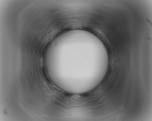 X0000103130123200808221050