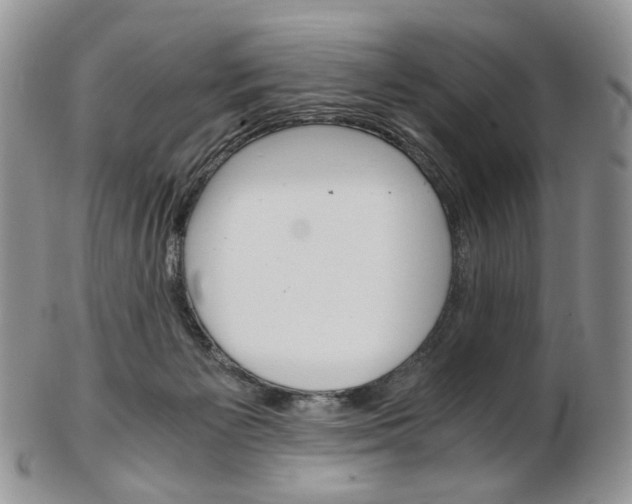 X0000103130125200808221050