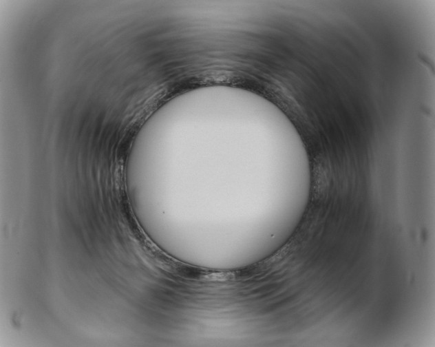 X0000103130126200808221050