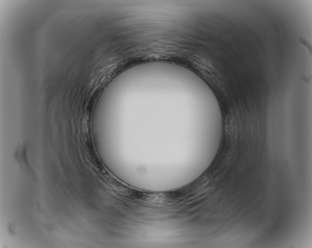 X0000103130127200808221050
