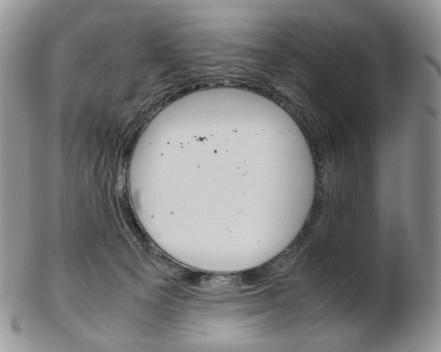 X0000103130129200808221050