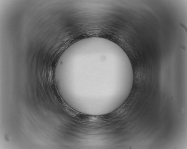 X0000103130130200808221050
