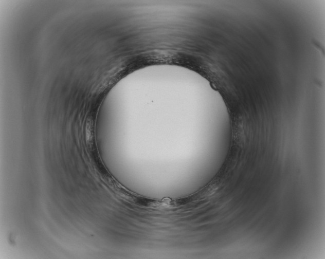 X0000103130131200808221050
