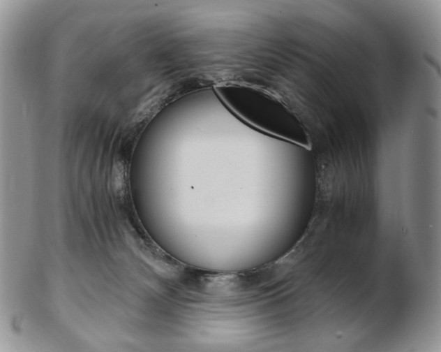 X0000103130132200808221050