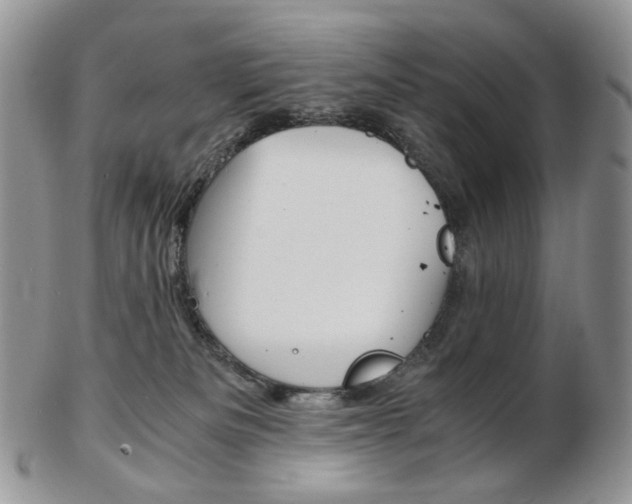 X0000103130133200808221050