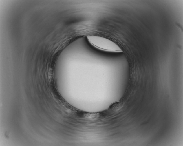 X0000103130135200808221050