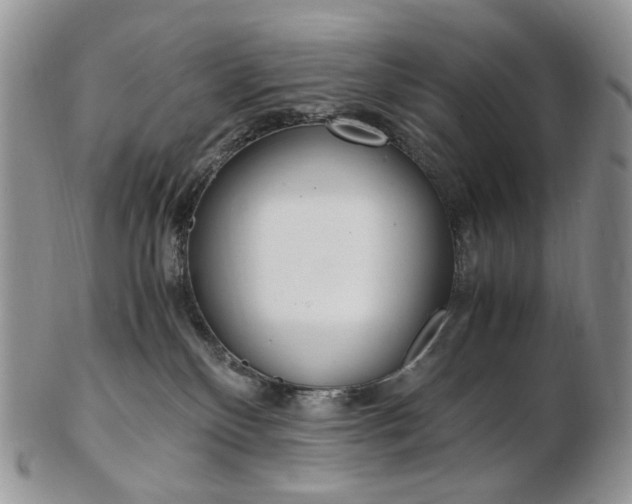 X0000103130136200808221050