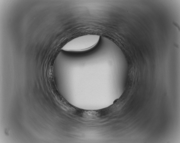 X0000103130137200808221050