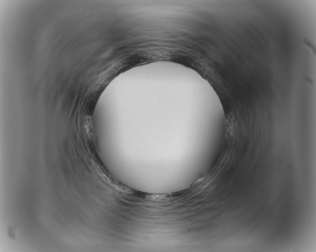 X0000103130141200808221050
