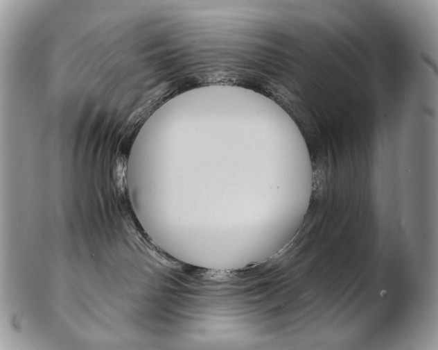 X0000103130142200808221050