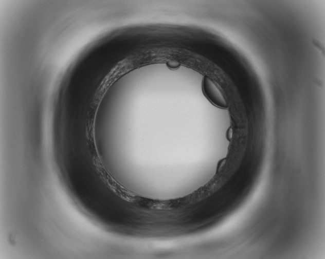 X0000103130143200808221050