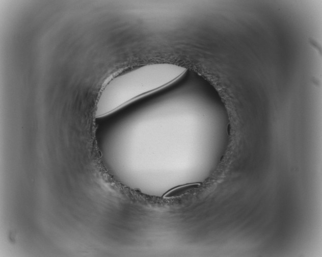 X0000103130144200808221050