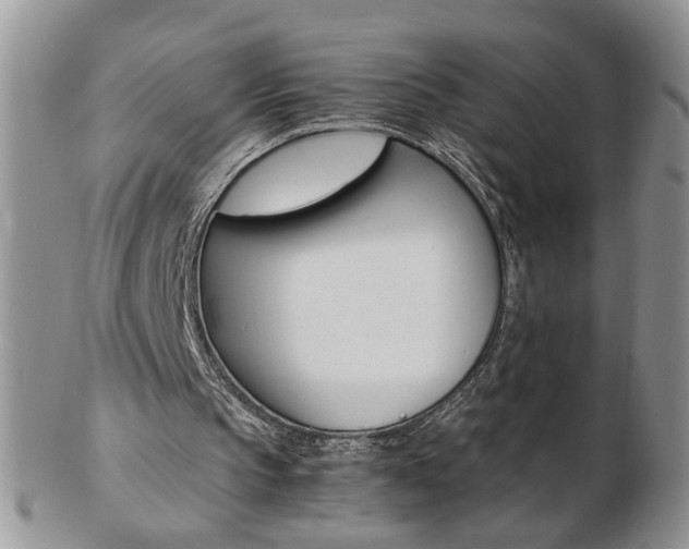 X0000103130145200808221049