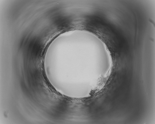 X0000103130146200808221049