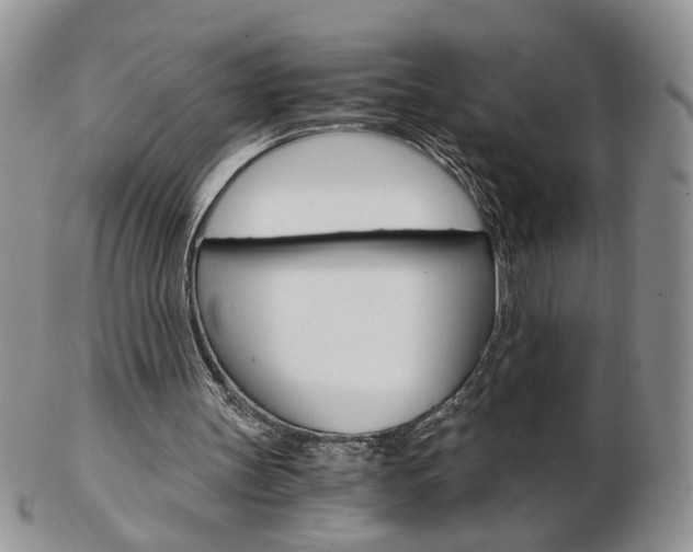 X0000103130147200808221049