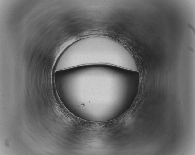 X0000103130148200808221049
