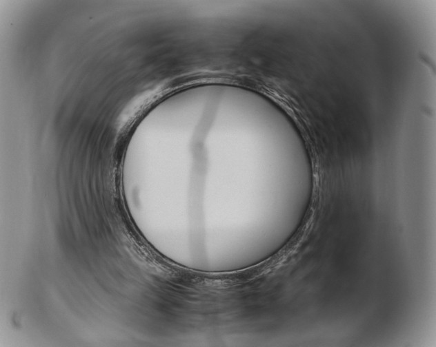 X0000103130149200808221049