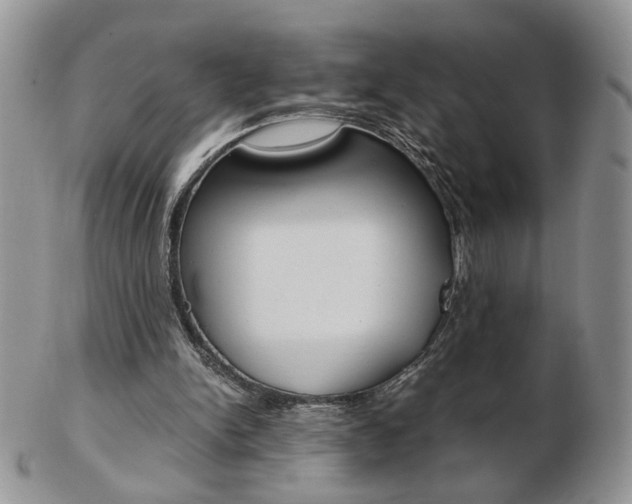 X0000103130150200808221049