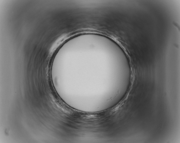 X0000103130151200808221049