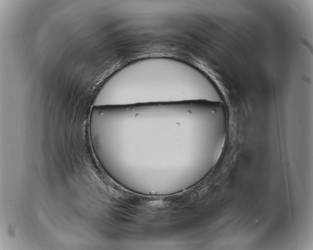X0000103130153200808221049