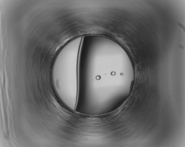 X0000103130154200808221049