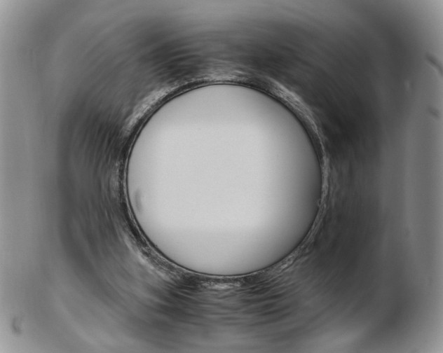 X0000103130155200808221049