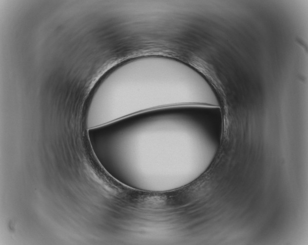 X0000103130156200808221049