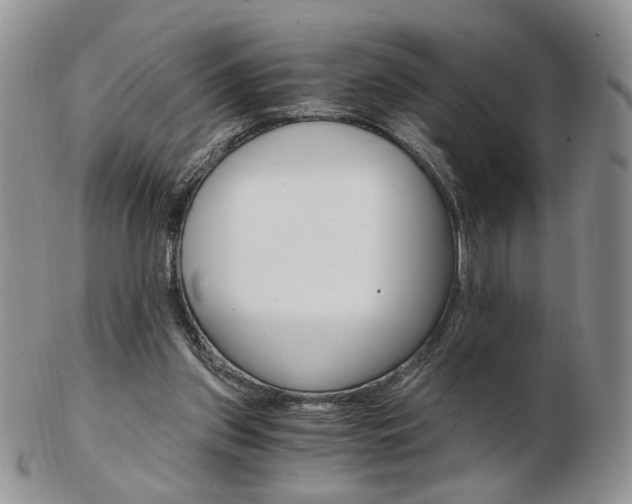 X0000103130157200808221049