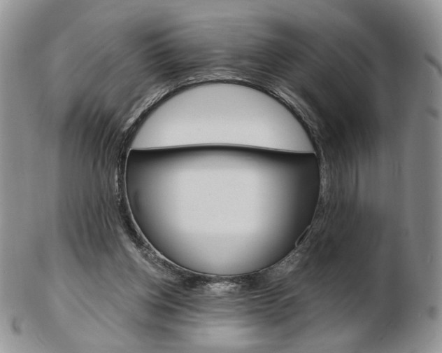 X0000103130158200808221049