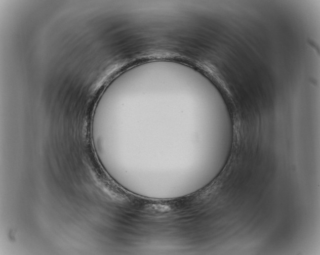 X0000103130159200808221049