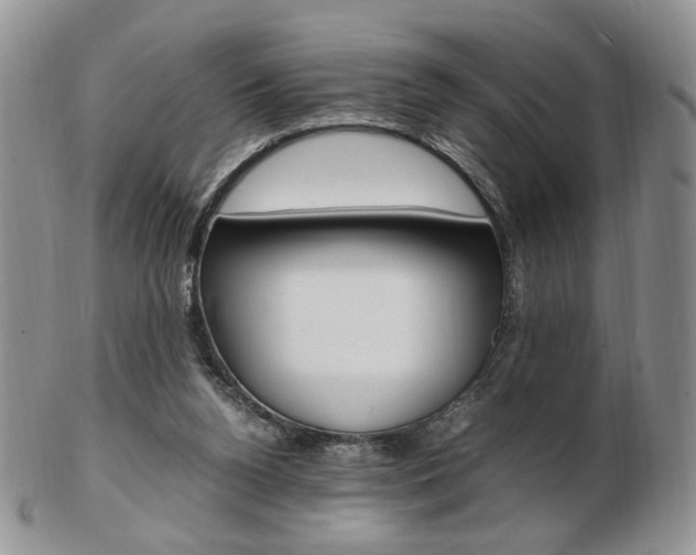 X0000103130160200808221049