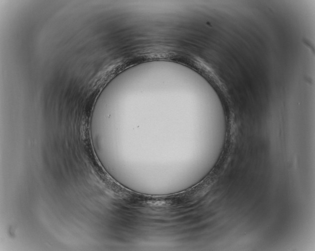 X0000103130161200808221049