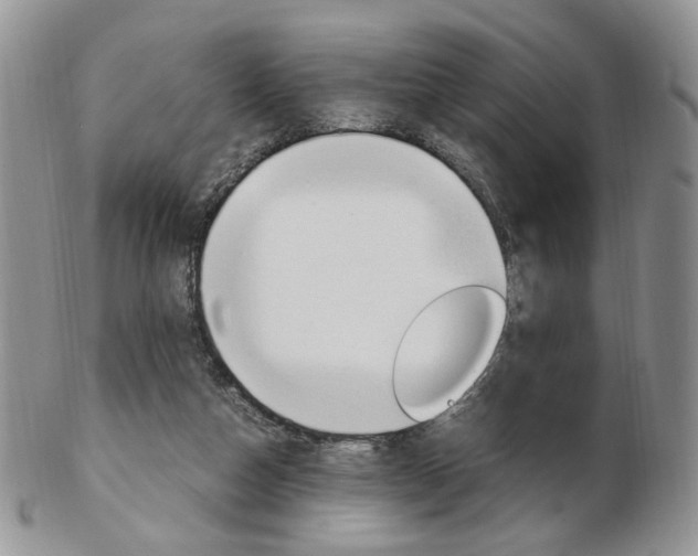 X0000103130162200808221049
