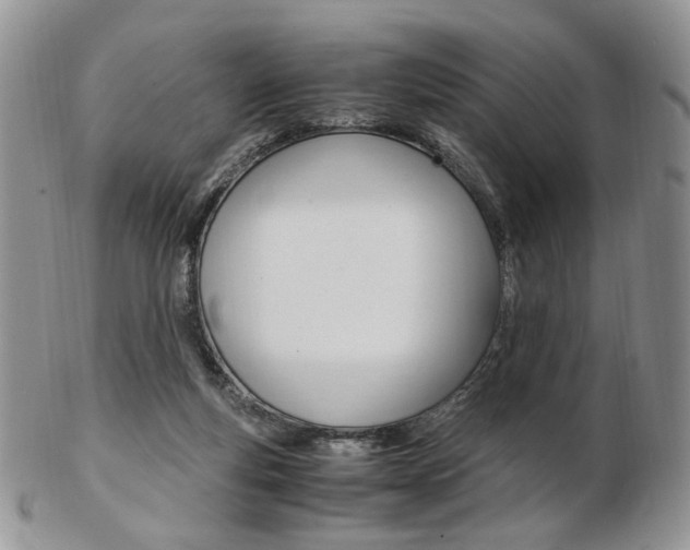 X0000103130163200808221049