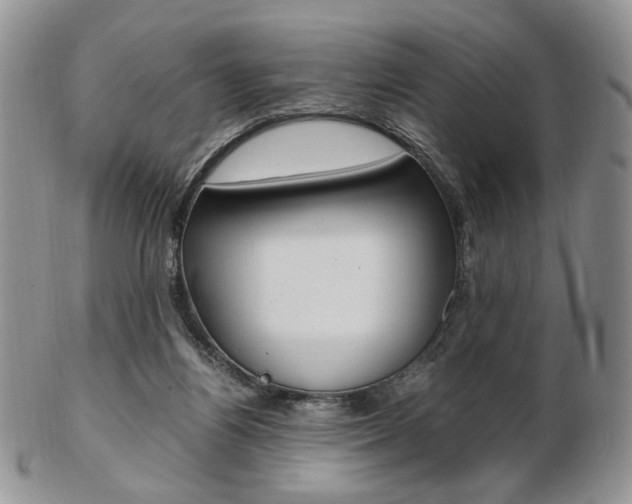 X0000103130164200808221049