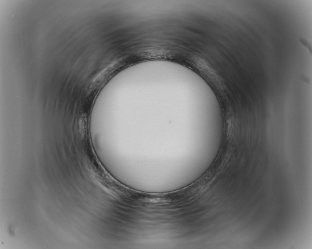 X0000103130165200808221049