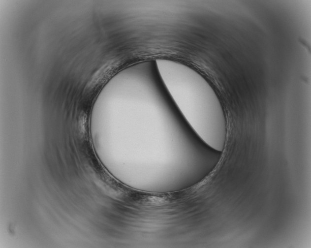 X0000103130166200808221049