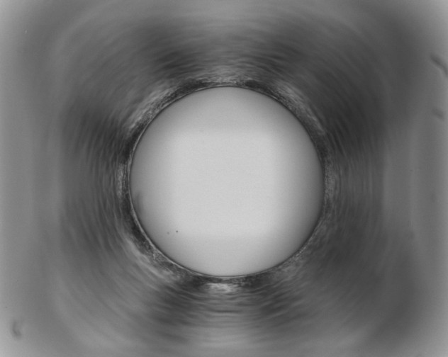 X0000103130167200808221049