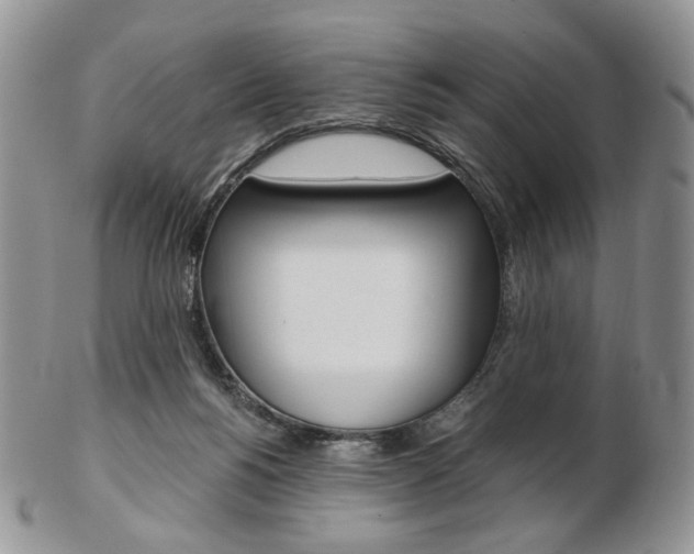 X0000103130168200808221049