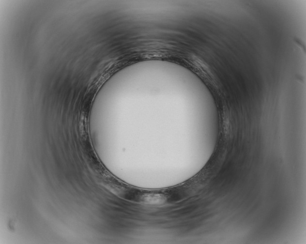 X0000103130169200808221049