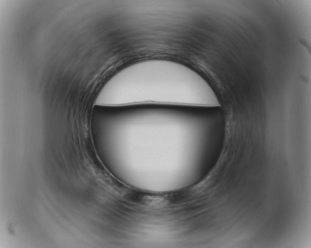 X0000103130170200808221049