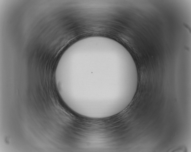 X0000103130172200808221049