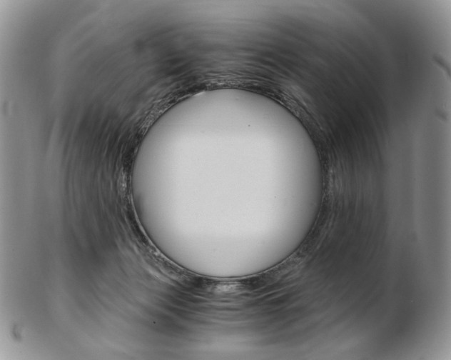X0000103130173200808221049