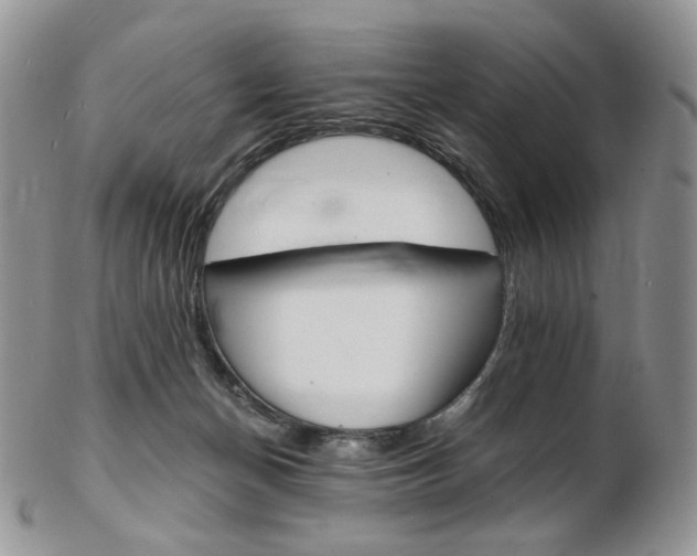 X0000103130174200808221049