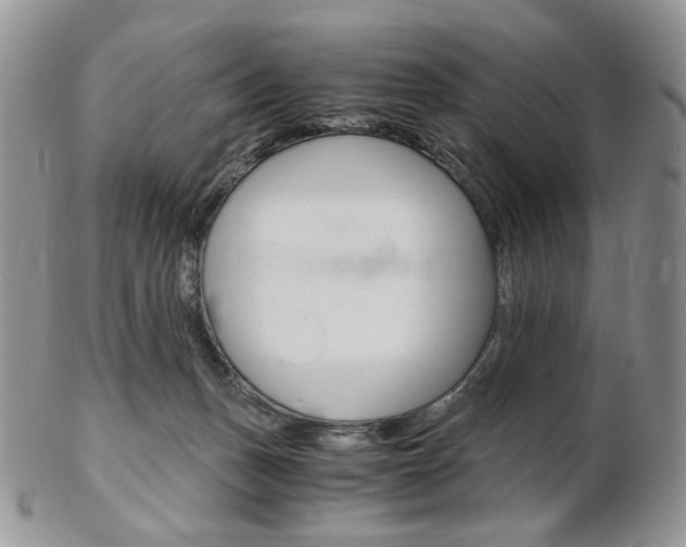 X0000103130175200808221049