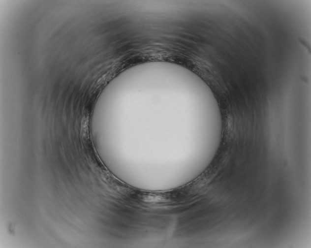 X0000103130177200808221050