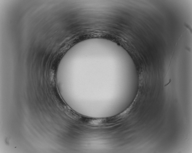 X0000103130178200808221050