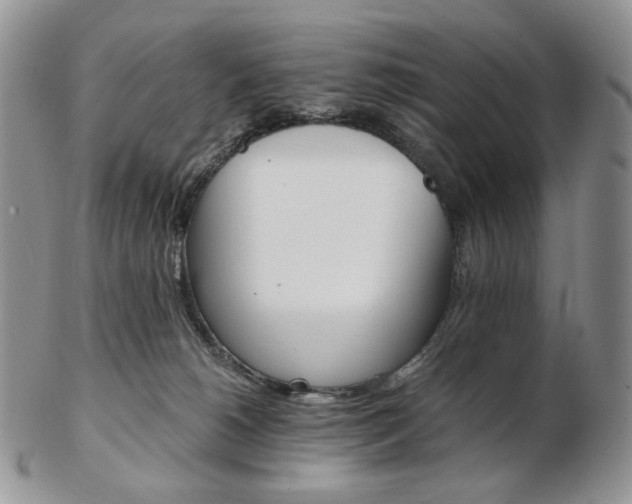 X0000103130180200808221050
