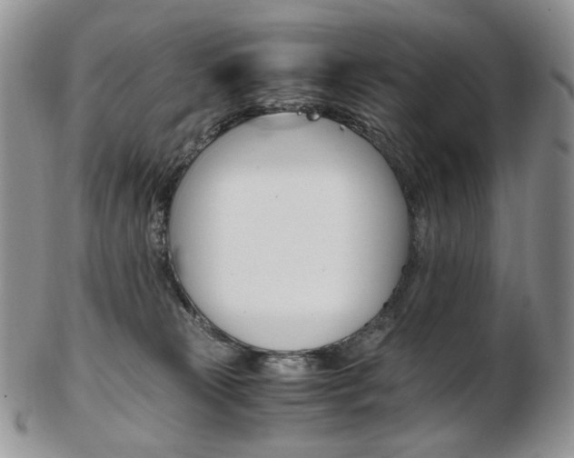 X0000103130181200808221050